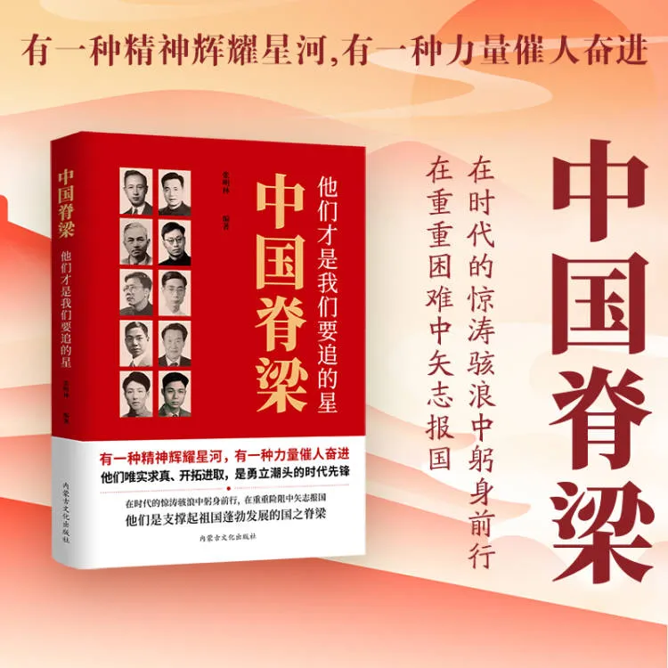 中国脊梁他们才是我们要追的星人物传记人民榜样国之脊梁