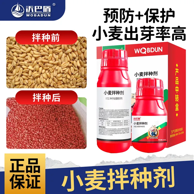 沃巴盾小麦专用拌种剂组合提高出芽率生根壮苗提质稳产包衣剂