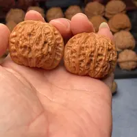 文玩核桃把件野生麒麟磨狮子头37