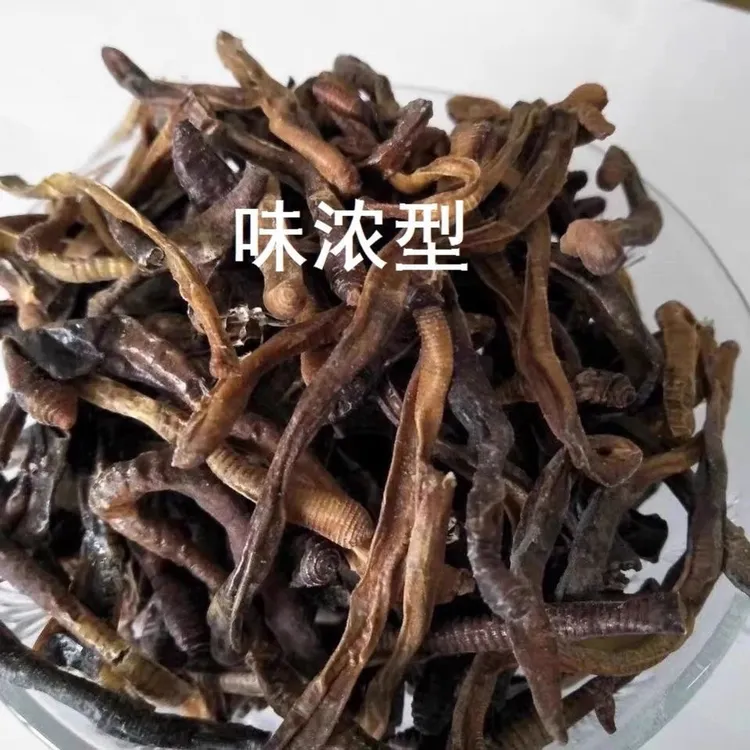 纯天然新货原条蚯蚓干整条广地龙干蚯蚓胜哥早期吃东西钓鱼野钓