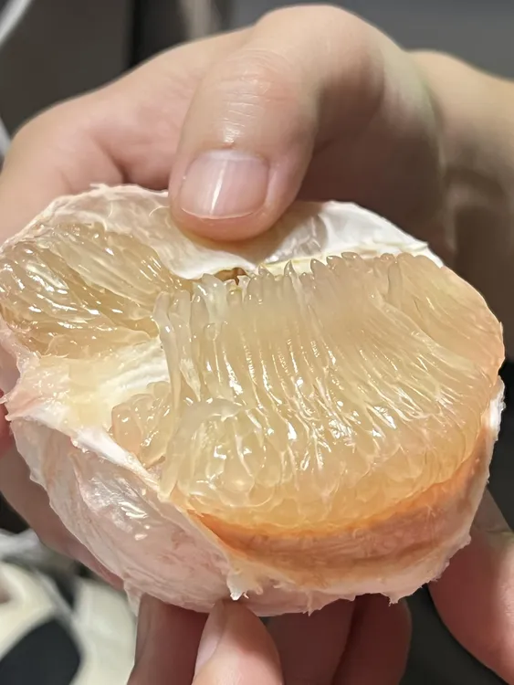 仙游度尾正宗老树红心文旦柚新鲜当季孕妇时令水果