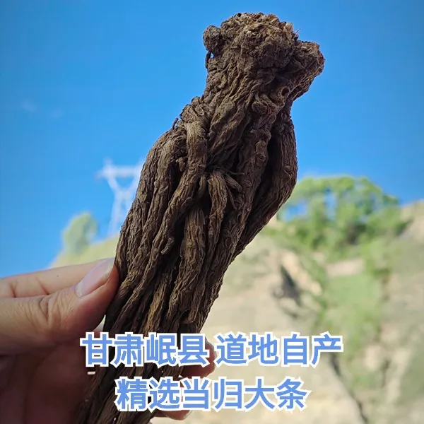 甘肃岷县 当归大条  自产精选泡水煲汤产地新货原味滋养精品品质