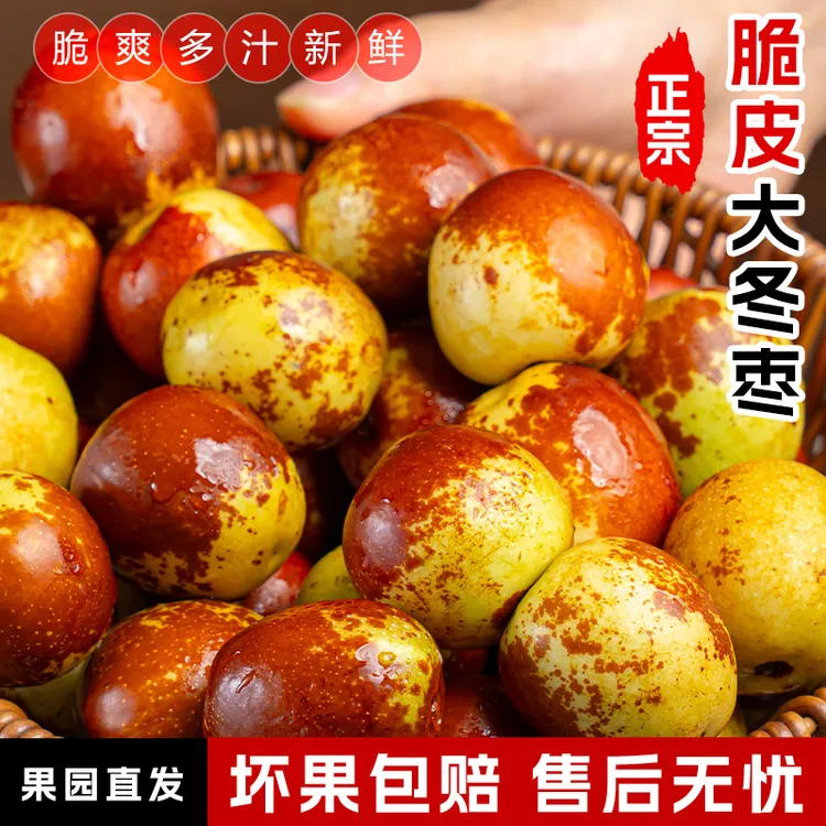 陕西大荔冬枣2斤现摘现发应季新鲜水果脆甜爽口肉厚核小冰糖冬枣