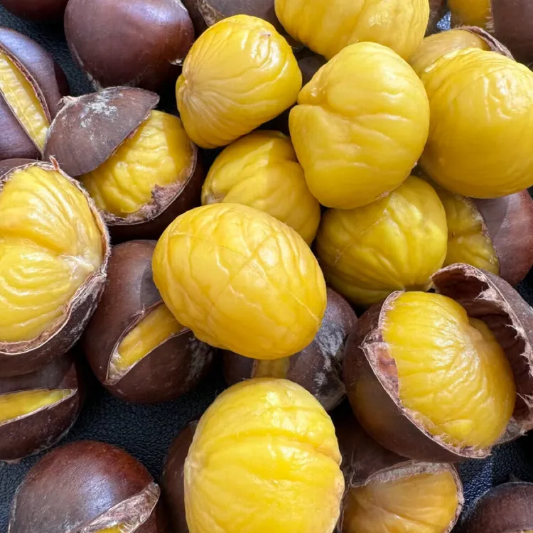 正宗遵化迁西板栗2025中国，带壳中粒迁西板栗2025新货板栗新鲜