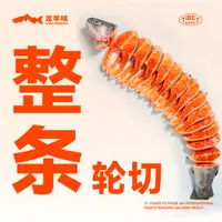 【溯源】龙羊峡三文鱼冷冻轮切整鱼2.6-3kg中秋礼盒搭配黑胡椒海盐 