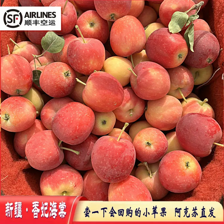正宗新疆香妃海棠小苹果海棠果 顺丰空运 新疆阿克苏直发