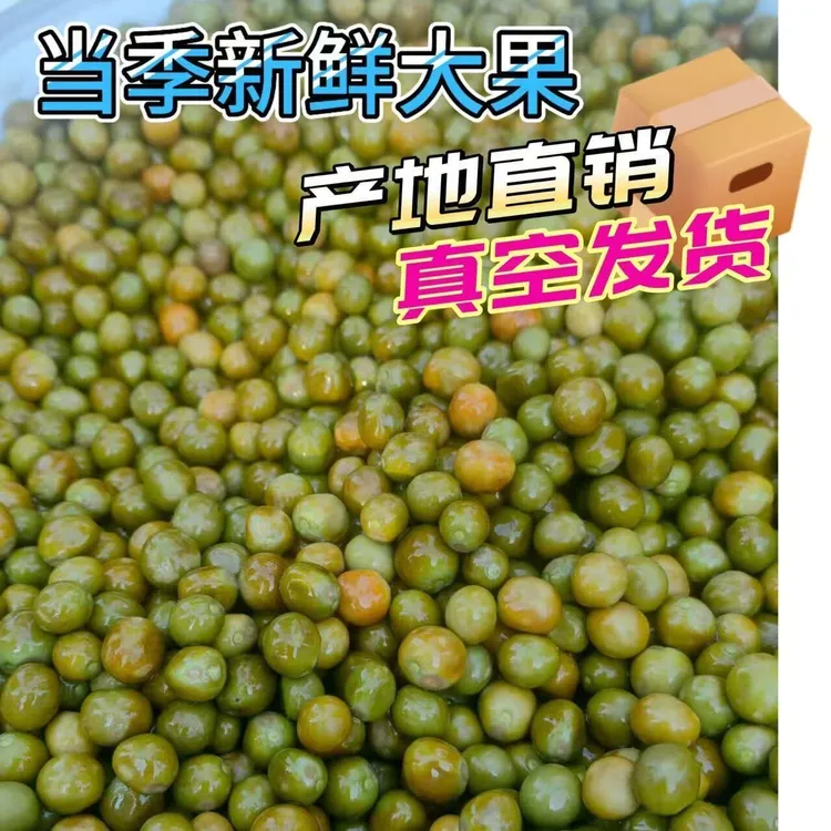 信阳淮滨产地直销当季新鲜鸡头米芡实鸡头果特级果