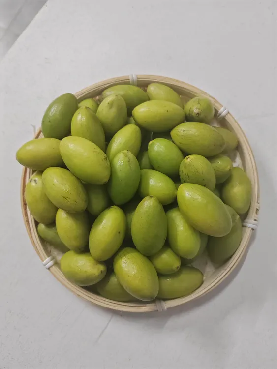 潮汕灵峰橄榄新鲜采摘可生吃煲汤泡酒