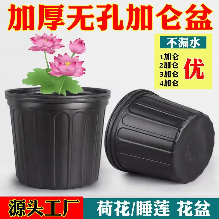大号软质加厚黑色加仑盆无洞荷花盆睡莲盆塑料花盆水盆无孔不漏水