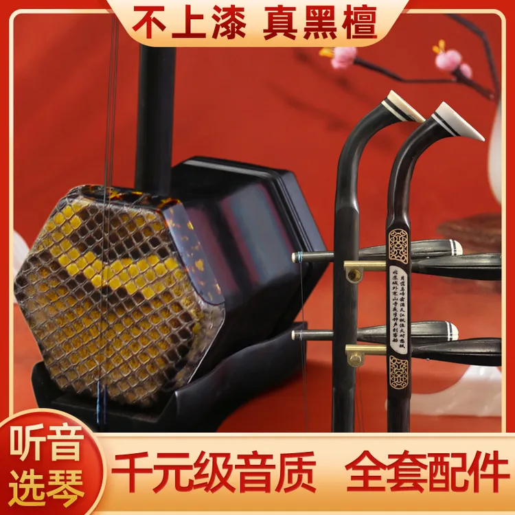 苏州黑檀二胡乐器厂家直销正品入门专业演奏考级铜轴大音量二胡琴