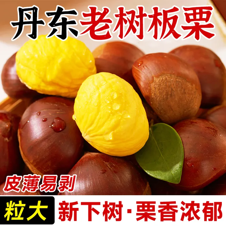 【产地直发】4斤新鲜丹东板栗去刺壳板栗难剥皮生栗子带壳野生油栗