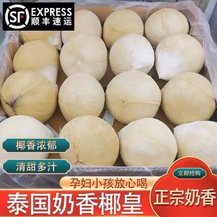 泰国椰皇奶香椰纯天然椰子水新鲜新鲜椰子食物团购批发正宗孕妇