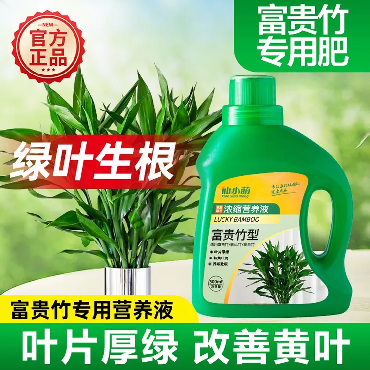 富贵竹专用营养液肥料专用肥水培植物通用文竹转运竹专治黄叶生根