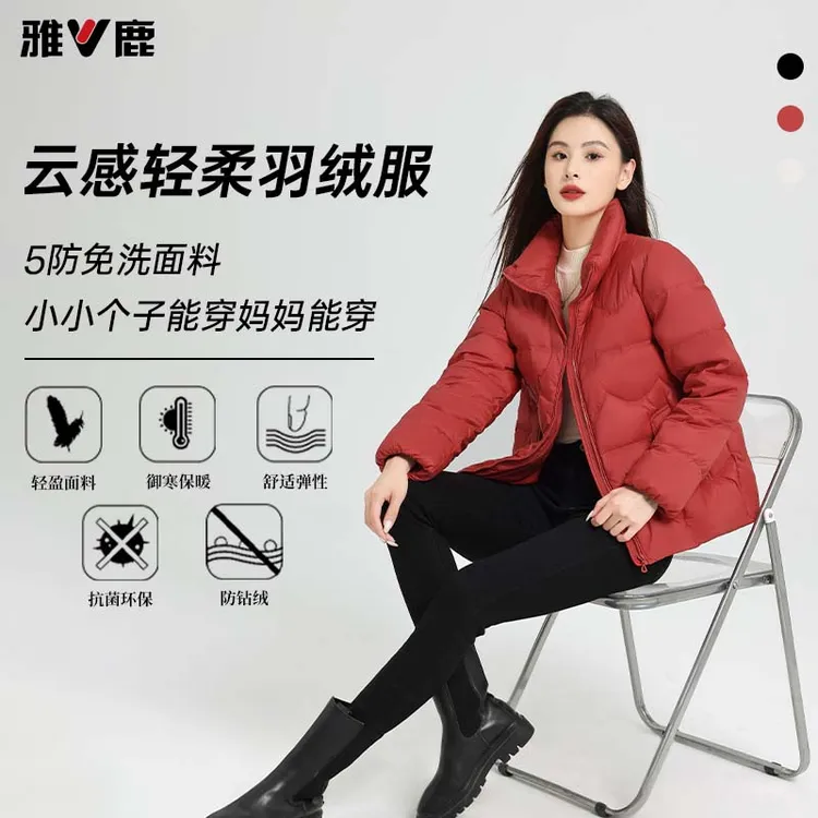 正肩袖极简风长袖立领御寒短款加厚小个子时尚羽绒服女
