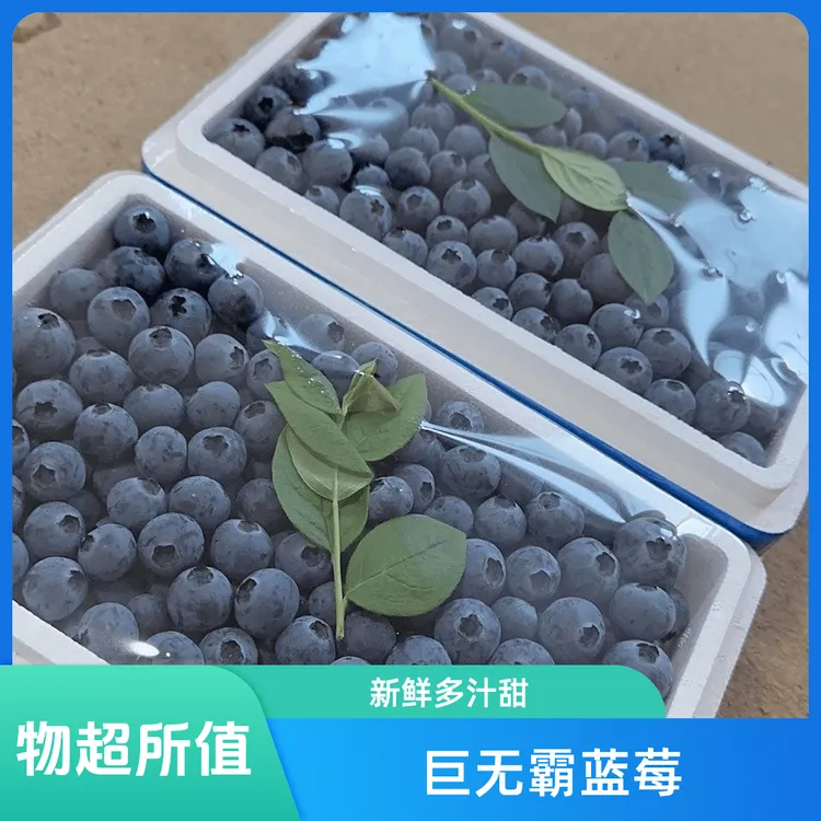 【巨无霸蓝莓】20-23mm头茬新鲜采摘 应季蓝莓 脆甜多汁 100g/盒