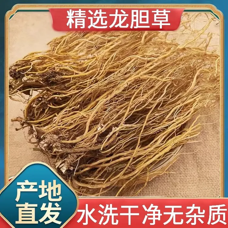 正品龙胆草新货苦胆草整颗龙胆草苦龙胆草野生龙胆草泡水泡茶包邮