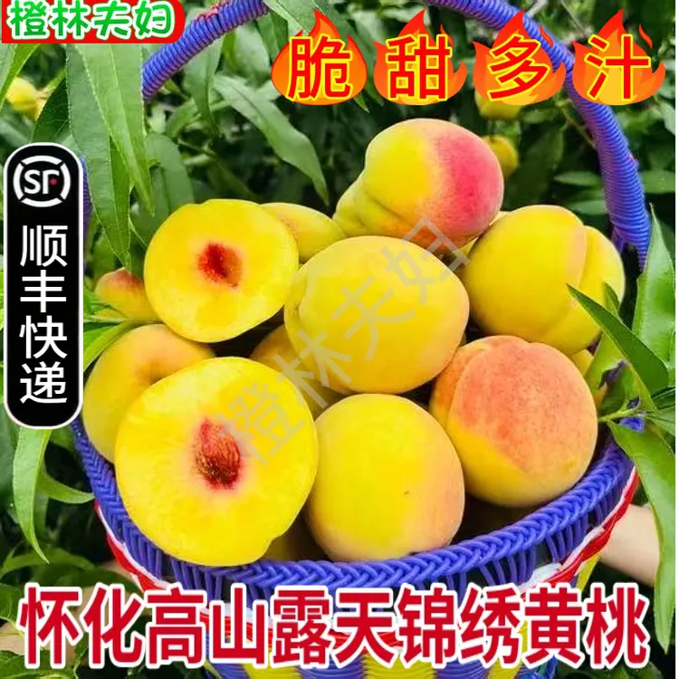 顺丰包邮湖南怀化高山新鲜锦绣黄桃果园直发水果脆甜好吃坏果包赔