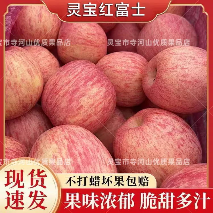 河南灵宝寺河山红富士冰糖心家庭实惠装红苹果脆甜霜降后采摘发货