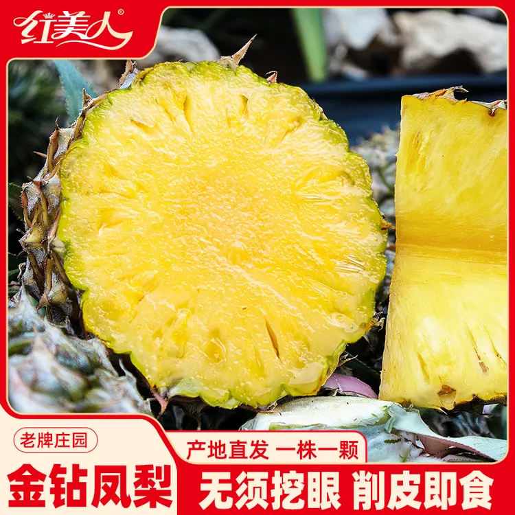 《大金子专属》海南金钻凤梨 新鲜香水菠萝手撕特产无眼中大果凤梨