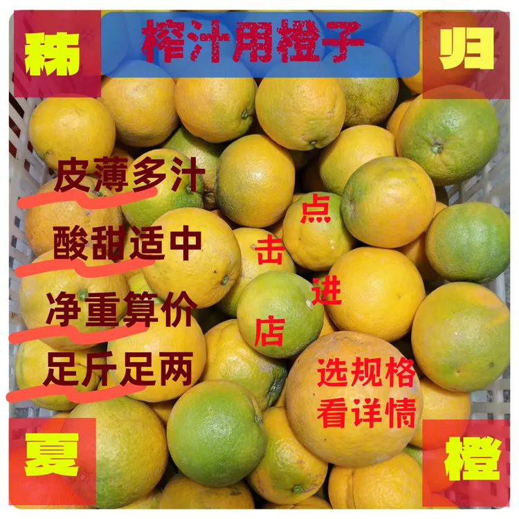 秭归新鲜夏橙摆摊榨汁商用二级榨汁果花皮夏橙削皮榨汁夏橙水果