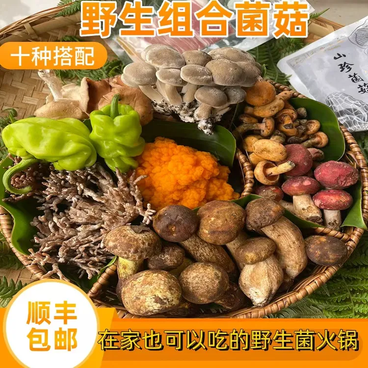 云南新鲜山珍菌菇组合多种菌人工野生菌煲汤火锅必备