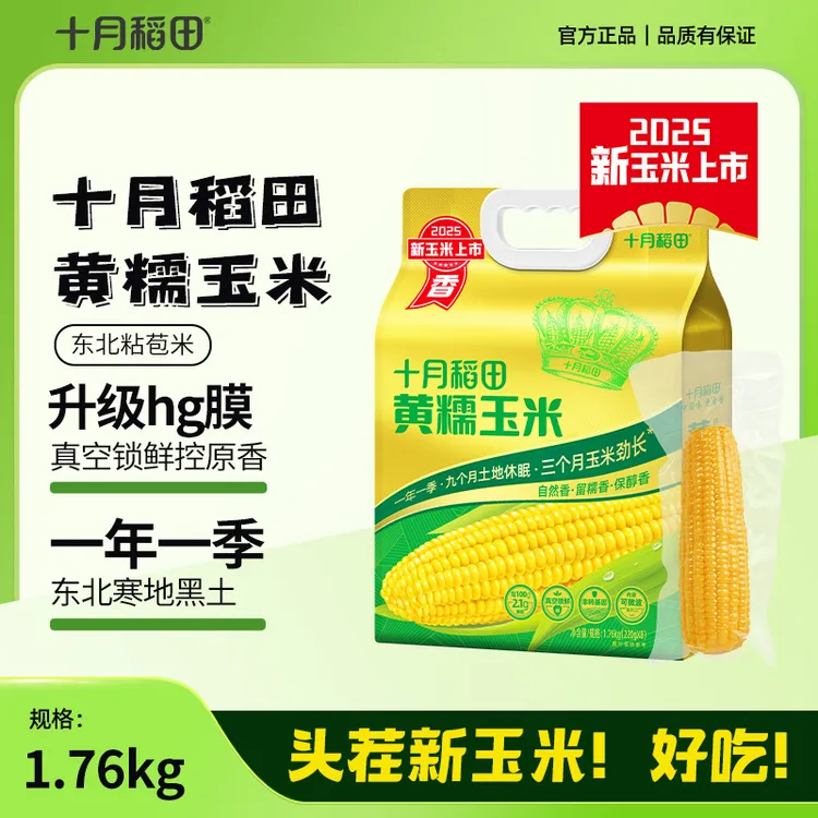 粗粮轻食 十月稻田黄糯玉米白糯玉米东北黏苞米早餐真空装