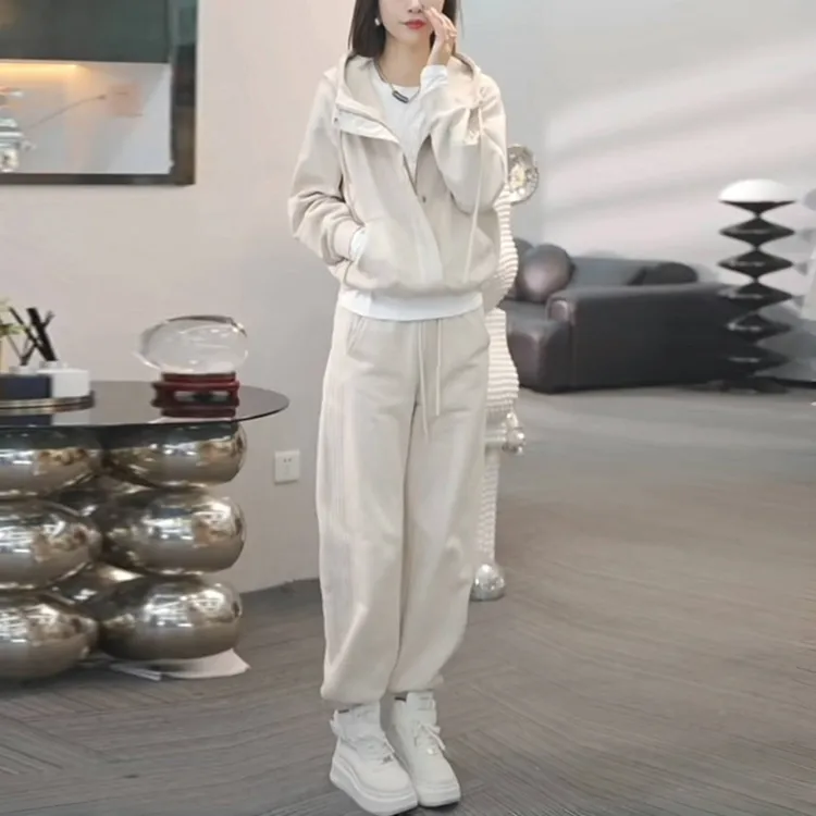 2982秋季时尚百搭好看显瘦套装