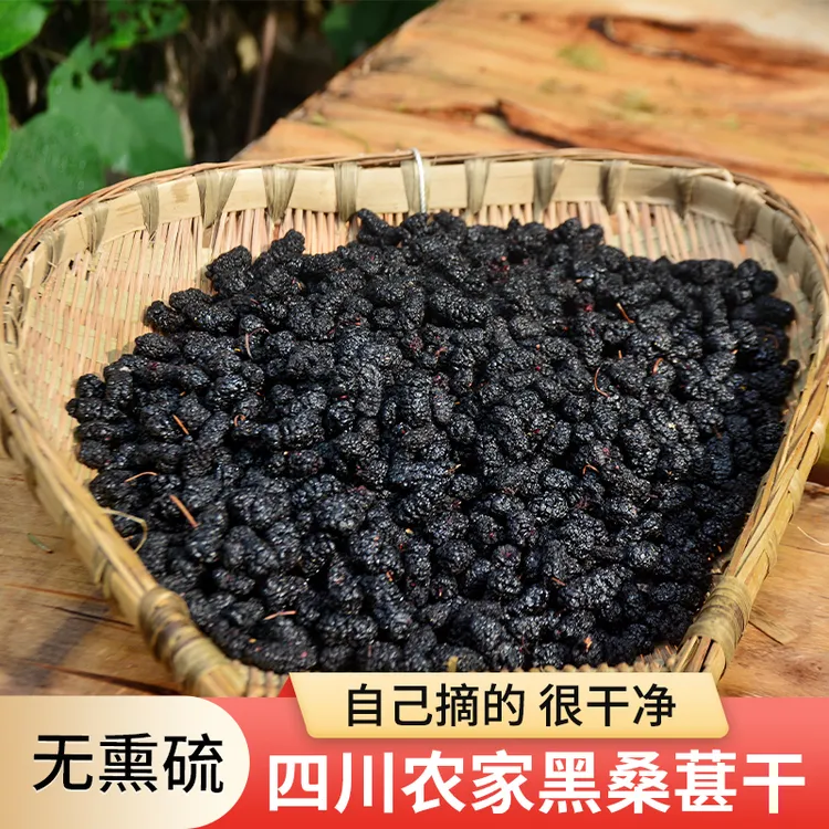 四川农家黑桑葚当季新货不熏硫不染色泡水煮水泡茶泡酒