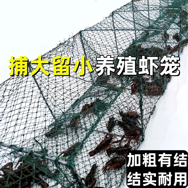 龙虾地笼结网大眼养殖虾笼小龙虾专用网捕大留小折叠螃蟹笼捕虾