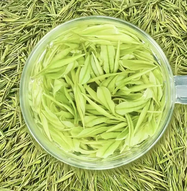 【母本级白A33】2025年新茶 兰花香 安吉原产地天荒坪明前茶春茶