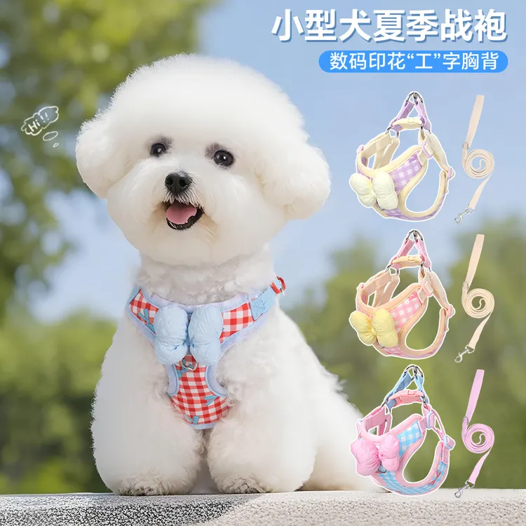 狗狗牵引绳小型犬专用蝴蝶结宠物狗狗胸背带透气不闷热狗绳牵引绳