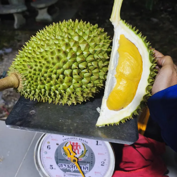 泰子鲜泰国空运小品种榴莲三个品种混装10号发货