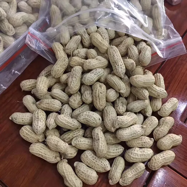 梅州大埔百侯水煮白晒带壳咸干花生健康营养美味即食小吃