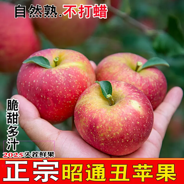 高品质昭通冰糖心丑苹果应季现摘新鲜水果苹果正宗云南高原孕妇