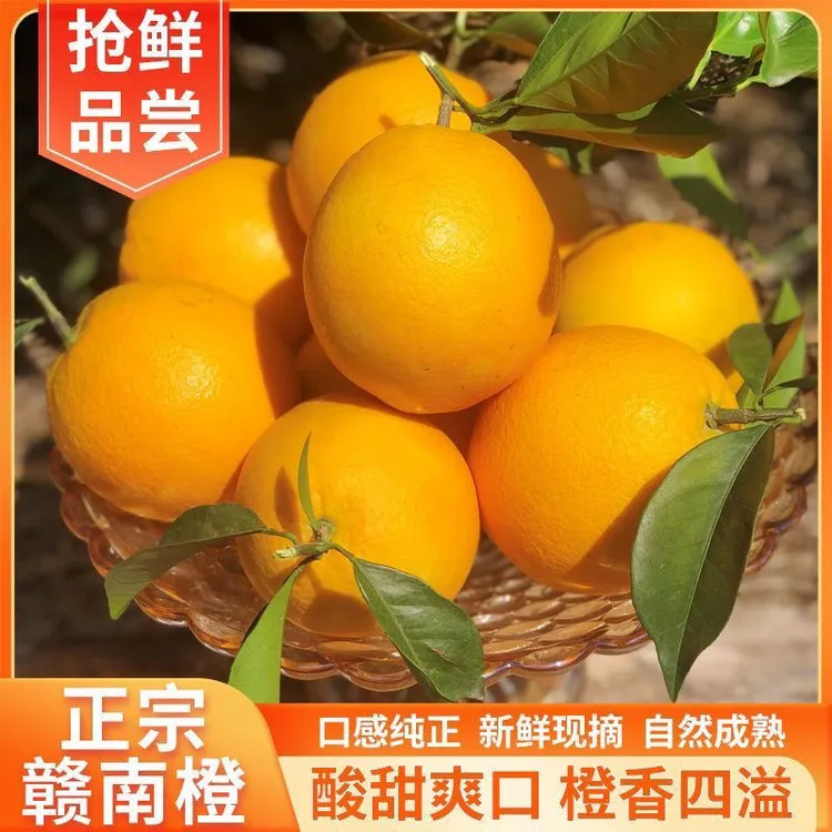 【抖音精选】正宗赣南脐橙鲜橙橙子新鲜细嫩多汁当季水果薄皮手剥