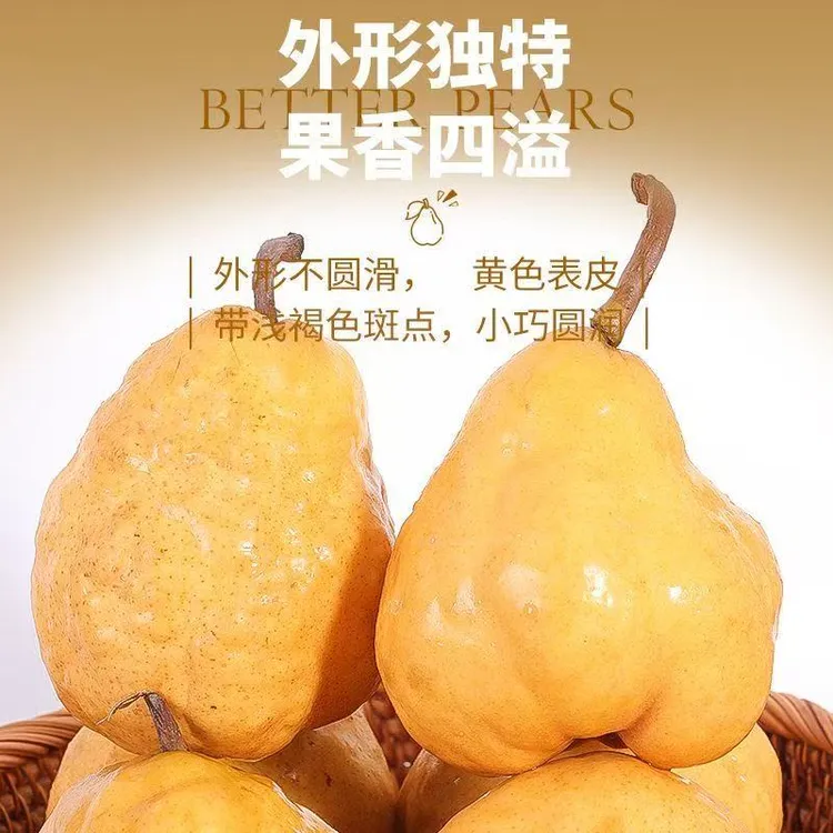 【现摘】山东丑梨软糯多汁放软吃爆甜新鲜当季水果