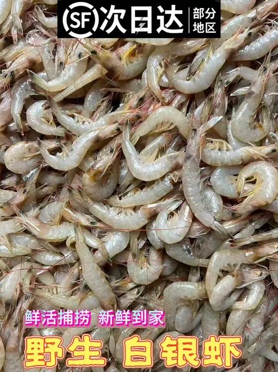 速冻 威海石岛本地 新鲜白银虾 羊毛虾 4斤顺丰包邮