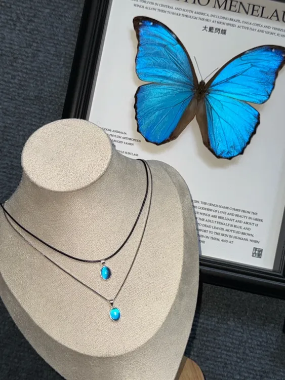 福利款专拍纯银小托大蓝蝶翅项链