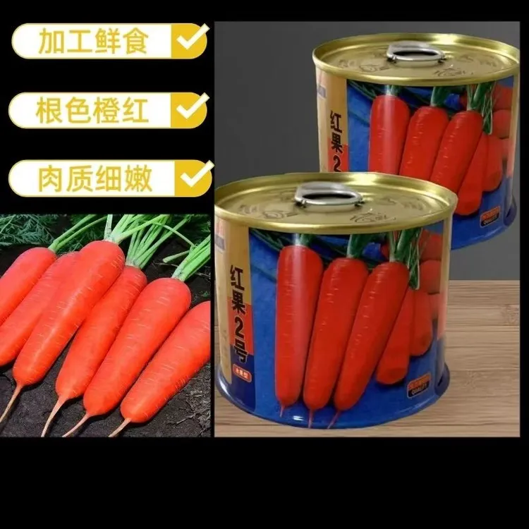 红果二号水果胡萝卜种子鲜食加工两用橙红圆柱型抗病耐贮蔬菜种籽