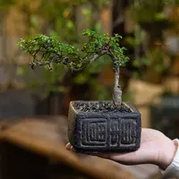 【七呀】中式仿古富贵锈色花盆插花复古做旧花器禅意客厅桌面摆件