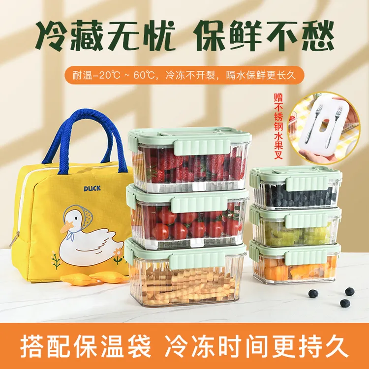 户外手提保鲜辅食盒便携式移动小冰箱透明水果便当盒密封保鲜盒