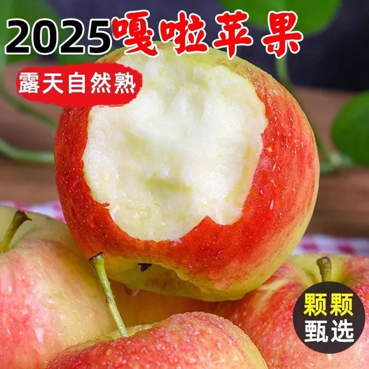 【小渝妈妈家】树上自然熟甘肃脆甜嘎拉苹果8.5斤装