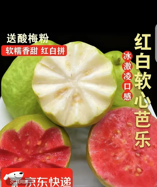 福建新鲜红心白心软心奶油芭乐冰淇淋口感软糯香甜番石榴