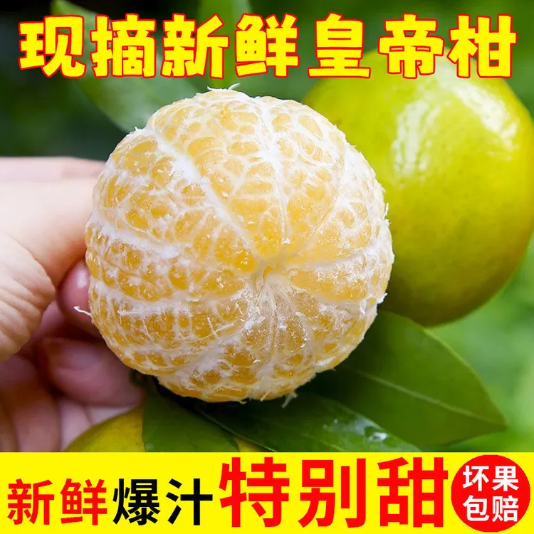 正宗广西皇帝柑贡柑新鲜当季水果桔子清甜多汁皮薄肉厚