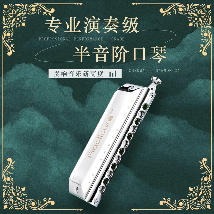 敦煌半音阶12孔口琴练习12pro无膜可水洗适合初学者使用高颜值