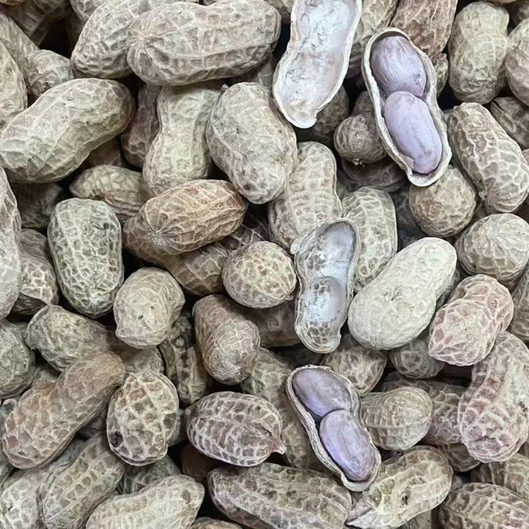 2025新农家土特产花生