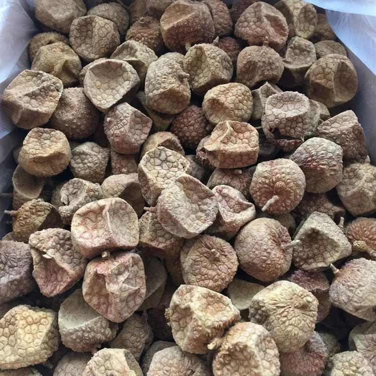 25年新货软糯越南特大扁荔枝干 非小核荔无硫天然无添加年货散装