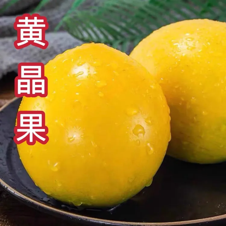 高端稀有品种果冻冬蜜黄晶果新鲜牛奶果黄金大果孕妇整箱顺丰包邮
