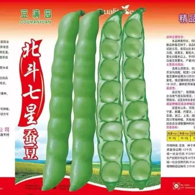 原装七星蚕豆种子特大高产罗汉豆四季种植早熟耐寒胡豆籽盆栽蔬菜