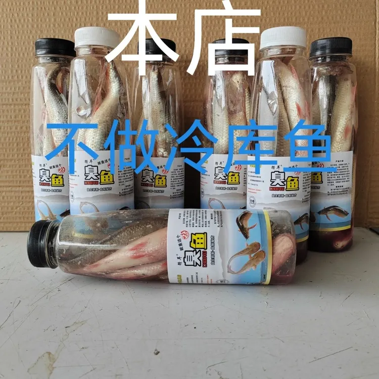 6到8条鲮鱼新鲜鱼发货臭鱼钓鲶鱼发酵到瓶子胀气盖子突出点即可